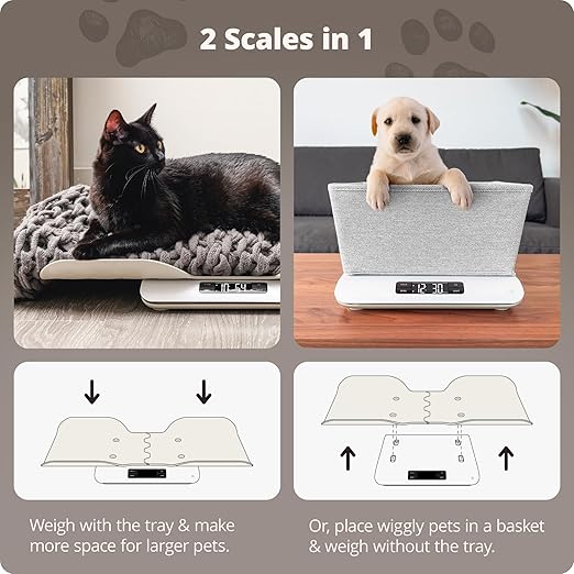 Greater Goods Essential Kitchen Scale and Healthy Paws Pet Scale
