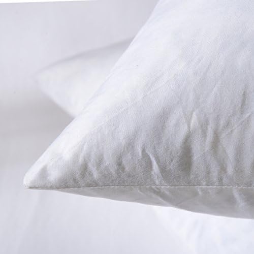 16X26 Oblong Feather & Down Pillow Insert, 100% Cotton Fabric, Set of 2, White