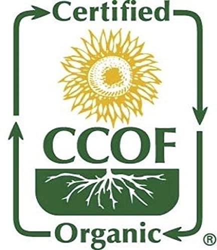 McCabe Organic White Quinoa Flour - Quinoa Flour Organic | Rich with Fiber & Minerals | USDA and CCOF Certified | Packed in USA | 2Lbs (Pack of 3)