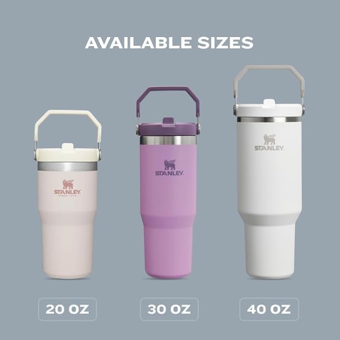 STANLEY IceFlow 2.0 Flip Straw Tumbler with Handle 20 oz | Twist On Lid and Flip Up Straw | Leak Resistant Water Bottle | Insulated Stainless Steel | BPA-Free | Lilac