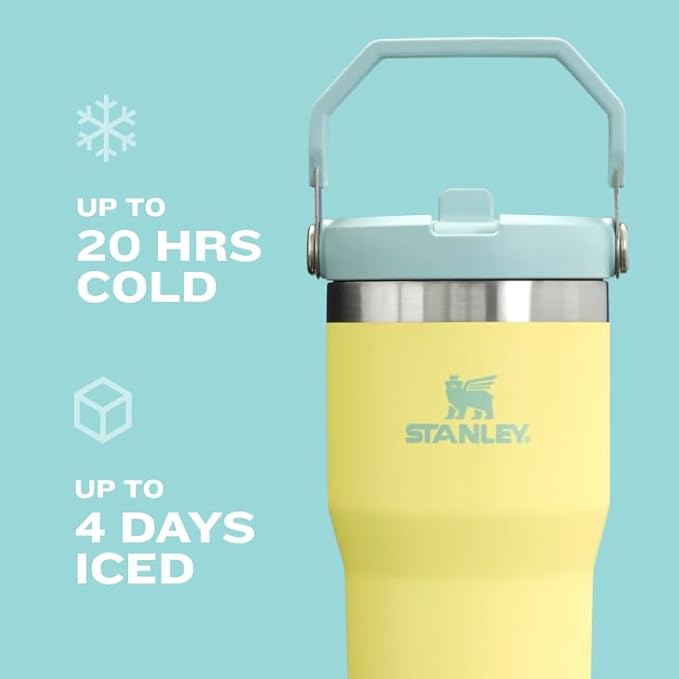 Stanley IceFlow 2.0 Flip Straw Tumbler with Handle 30 oz | Twist On Lid and Flip Up Straw | Leak Resistant Water Bottle | Insulated Stainless Steel | BPA-Free | Toast