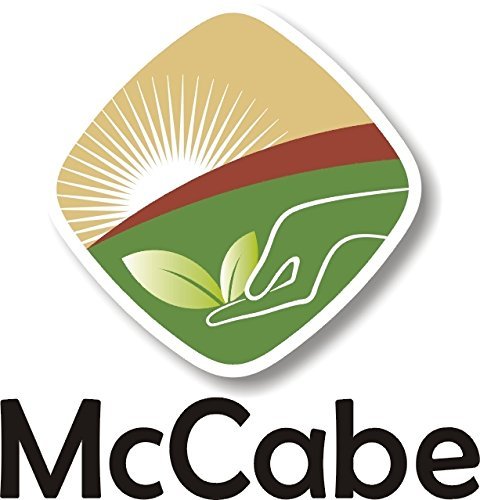McCabe Organic White Quinoa Flour - Quinoa Flour Organic | Rich with Fiber & Minerals | USDA and CCOF Certified | Packed in USA | 2Lbs (Pack of 3)
