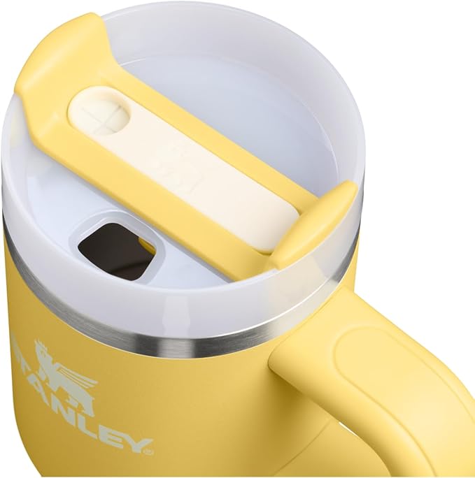 STANLEY Quencher H2.0 Tumbler with Handle and Straw 14 oz | Flowstate 3-Position Lid | Cup Holder Compatible for Travel | Insulated Stainless Steel Cup | BPA-Free | Daffodil
