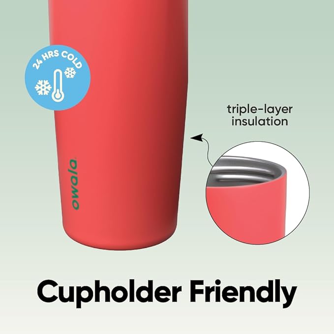 Owala FreeSip Sway Insulated Stainless Steel Water Bottle with Two-Way Spout, Built-In Straw and Bucket Handle, Made for Travel, School, and Sports, 30oz, BPA Free, Leak Proof, Strawberry Fields