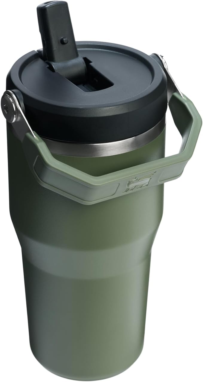 STANLEY IceFlow 2.0 Flip Straw Tumbler with Handle 20 oz | Twist On Lid and Flip Up Straw | Leakproof Water Bottle | Insulated Stainless Steel | BPA-Free | Dried Pine
