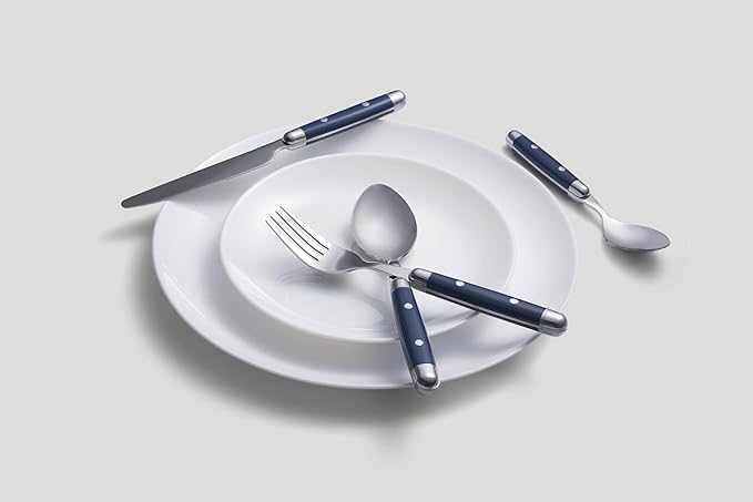 Cambridge Silverware Set, Jubilee Blue 16-Piece Flatware Set, Service For 4, 18/0 Stainless Steel, Knives Spoons And Forks Sets, Dishwasher Safe, Home And Kitchen Utensils (Black/Silver, 16 Piece)