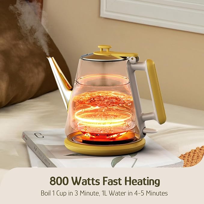 Hazel Quinn Retro X Eduardo Recife Collaboration Electric Kettle- 1 Litres / 34 Ounces Retro Small Tea Kettle, Double Wall, 304 Stainless Steel, 800W Fast Boiling, Cordless, BPA-Free, Auto Shut-Off