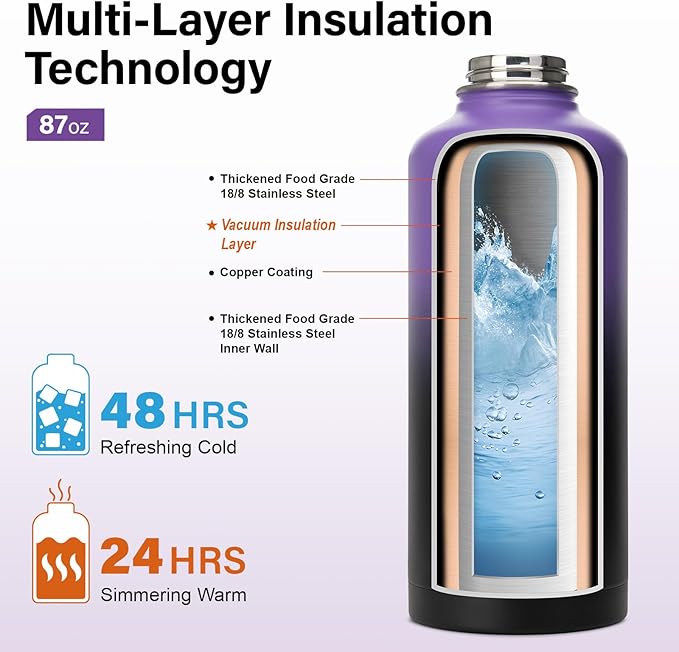 DYSANKY Insulated Water Bottle | Thickened Stainless Steel for Gym and Hiking with Straw, Carrier Bag, Handle Strap | BPA-Free 87 oz