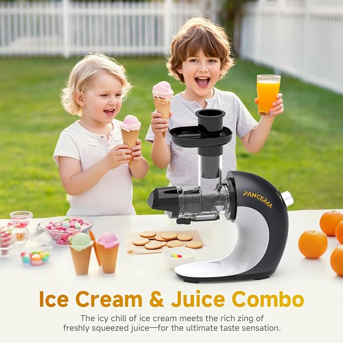 Frozen Fruit Sorbet Maker - Soft Ice Cream Maker for Healthy Vegetarian and Dairy Free Snacks, Easy to Clean