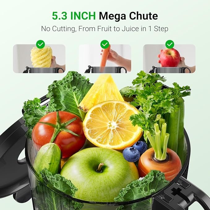 Aeitto Juicer Machines, 5.3" Extra Wide Mouth, Cold Press Juicer, Easy to Clean, Fit Whole Vegetables & Fruits, Professional Juice Extractor Machine,Self Feeding, High Juice Yield