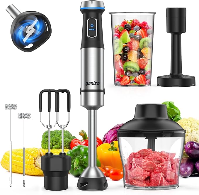 Ganiza GB08 Smoothie Blender and 6 in 1 Hand Blneder