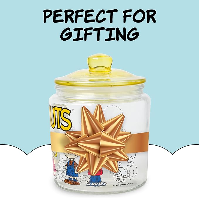 Silver Buffalo Peanuts Squad Featuring Charlie Brown, Snoopy, Schroeder, Lucy, Linus, Sally, Pigpen, Woodstock, and Franklin Glass Cookie Snack Candy Jar with Lid (Small)