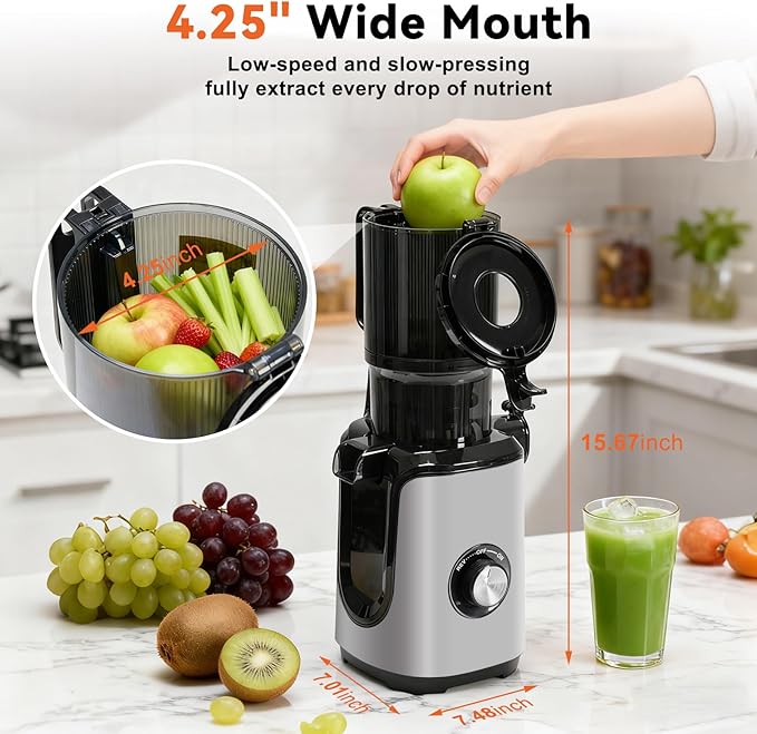 NEWBULIG Cold Press Juicer Machines, Masticating Juicer with High Juice Yield, Reverse Function, Stops Oxidation and Easy to Clean for Vegetables & Fruits, Silver