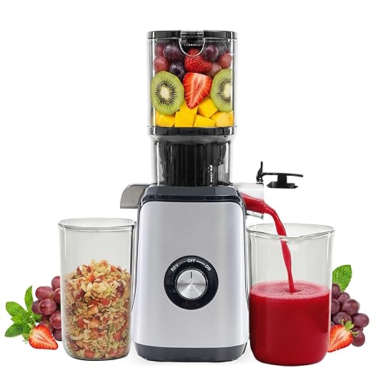 HealSmart Cold Press Juicer, Slow Masticating Juicer Machines with Wide Feed Chute, Fits Whole Fruits and Vegetables, High Juice Yield, BPA Free, Easy to Clean, Silver