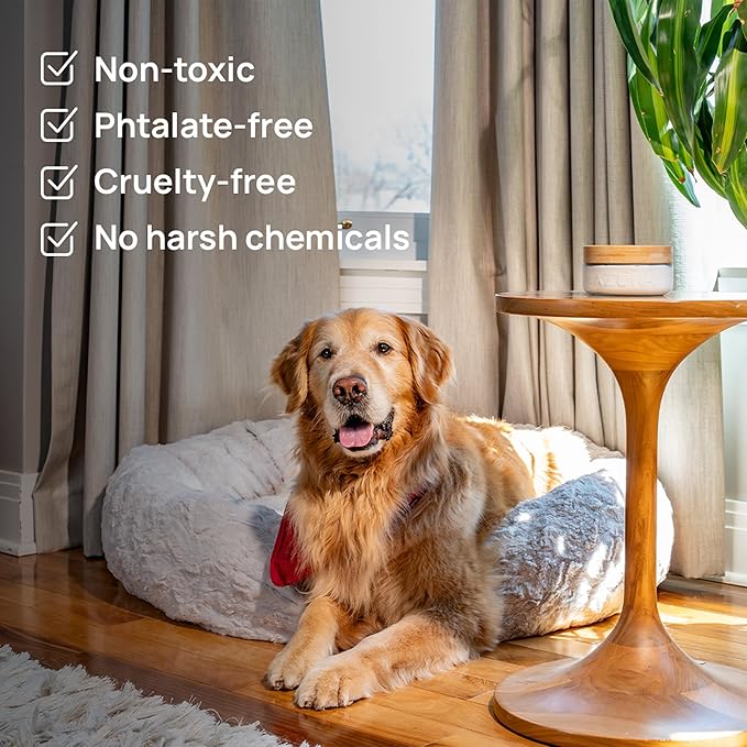 Azuna Air Freshener & Odor Eliminator for Strong Odor | 2 Room Kit Includes (2) 8 oz. Empty Luxe Glass Jars & 12 oz | Refill with Tea Tree Essential Oil Gel | Amalfi Breeze | Last 60-90 Days