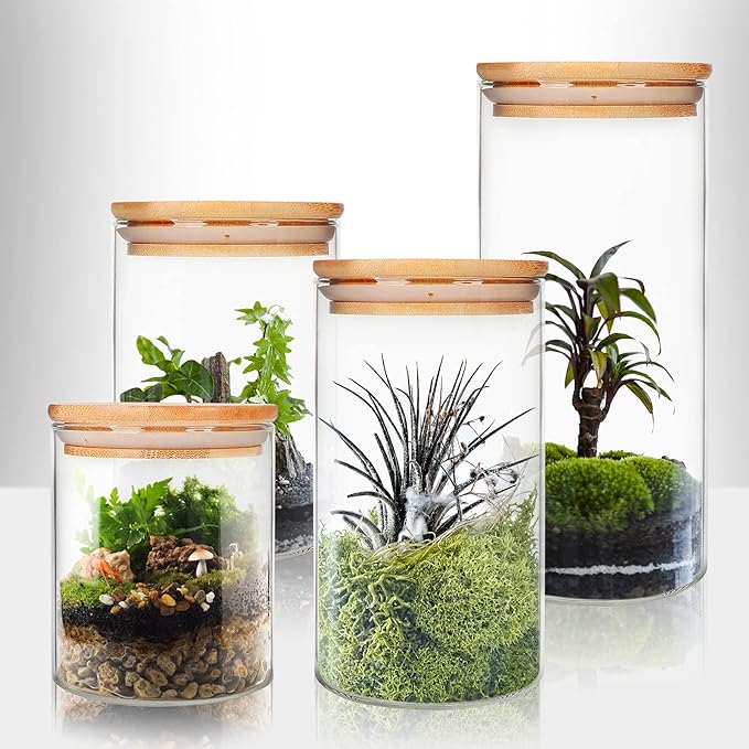 Glass Food Storage Containers Jars with Airtight Bamboo Lid 20 oz 9 pcs, 590 ml Pantry Organization Jar, Glass Terrarium with Lid, Spice, Flour and Sugar Container, Canister Set for Kitchen Counter