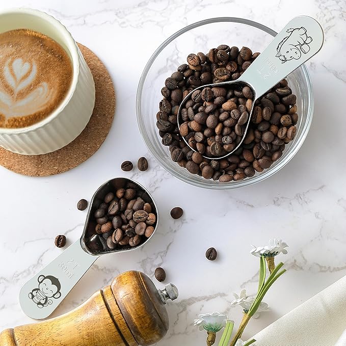 VRUIFA Tablespoon Measuring Spoon, Stainless Steel Coffee Scoop for Ground Coffee, Suger, Bean, Tea, Flour, Short Handle Fits inside Airscape Canisters(30ML*2)
